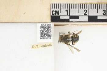 Media type: image;   Entomology 785674 Aspect: Labels